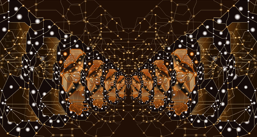 Monarque Papillon Fractal / Création numérique sous Diasec / 75 x 140 cm / 2014