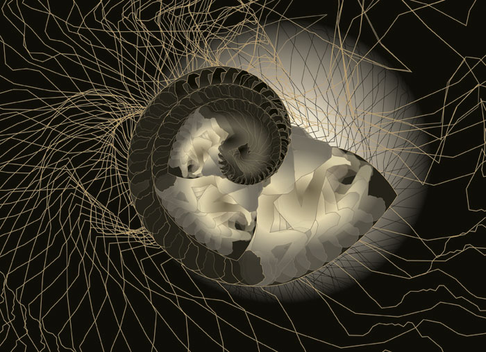 Nautilus / Création numérique sous Diasec / 90 x 120 cm / 2014