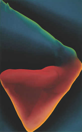 Oiseau de Feu / Acrylique sur toile / 146X89cm / 1983